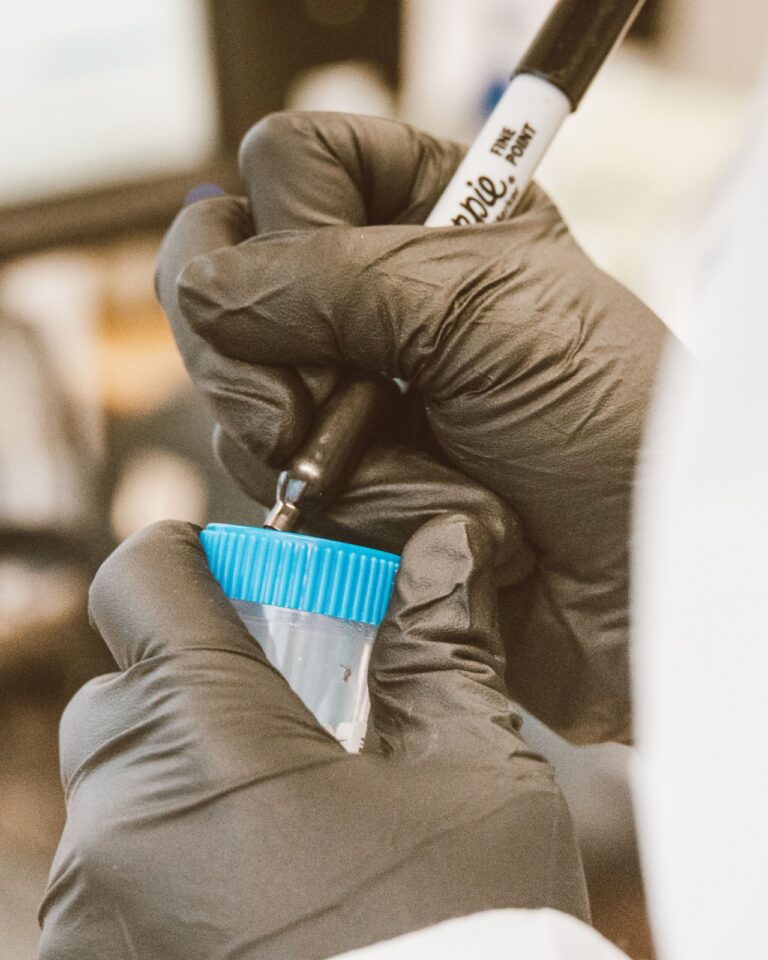 Glazen laboratoriumflacons op een spiegelend steriel oppervlak in een cleanroom voor onderzoekers die hoogwaardige peptiden kopen België overwegen.