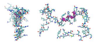 bpc 157 capsules