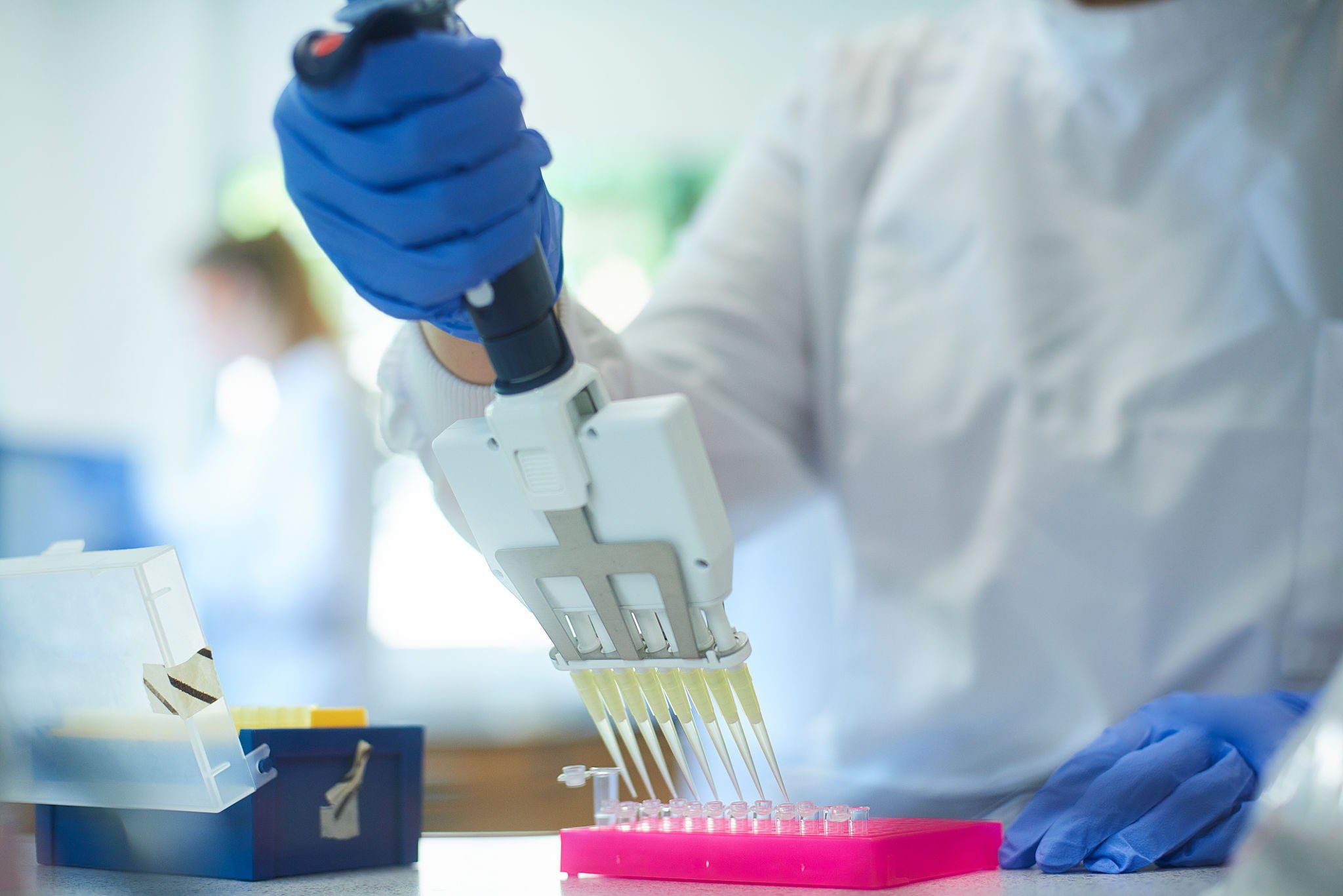 Präzise Pipettierung einer klaren Flüssigkeit in ein Laborröhrchen für Institute, die hochwertige Peptide für die Forschung kaufen möchten.